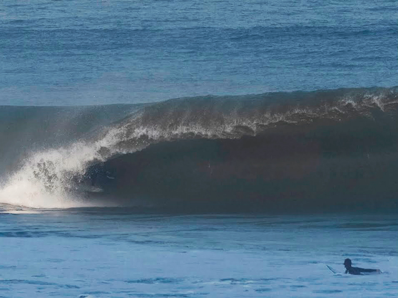 PERUMIBIA  |  @JONATHANGUBBINS