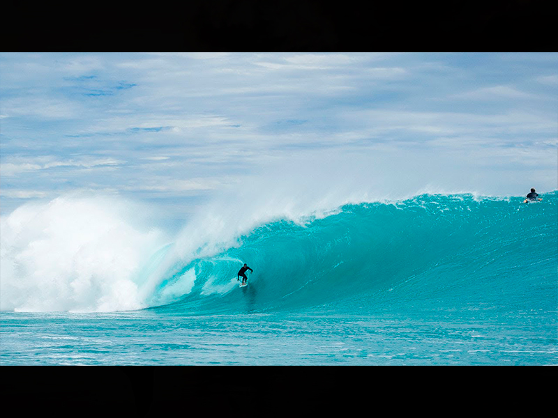 BY DEFAULT  |  JACOB WILLCOX