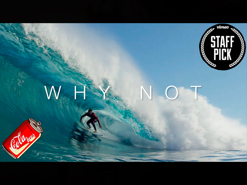 WHY NOT  |  GRIFFIN COLAPINTO