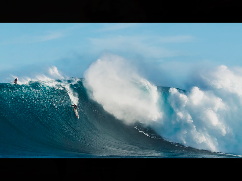 JAWS – NATHAN FLORENCE
