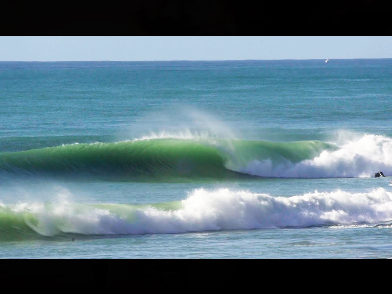 JUANJO FERNANDEZ | YERBABUENA