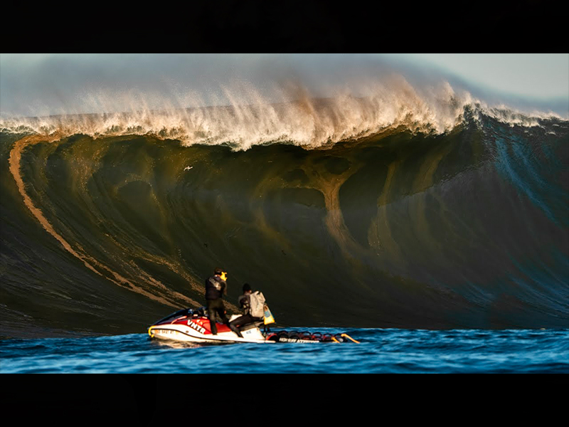 MAVERIKS – California