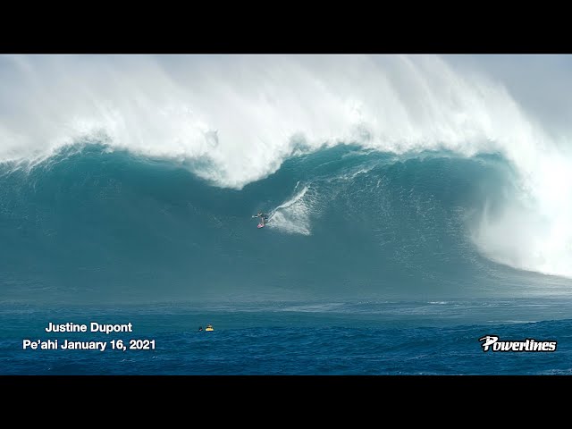 JUSTINE DUPONT | JAWS