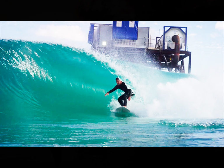 DINGO WAVEPOOL