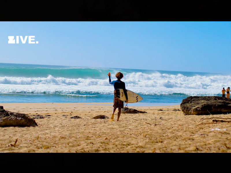 GRIFFIN COLAPINTO COLA BROS: MARGS