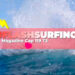 FLASHSURFING 119