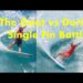 KELLY SLATER VS SHANE DORIAN MALDIVES SINGLE FIN FINALS