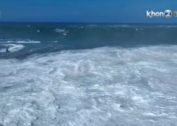 Luke Shepardson – Eddie Aikau