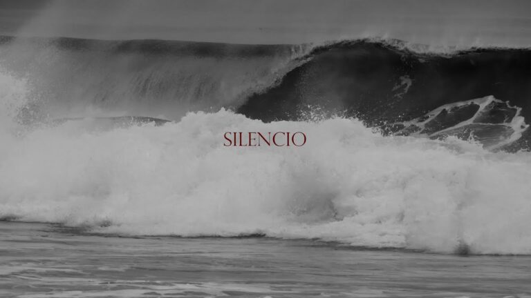 Filmada y editada por Valentina Espejo, silencio, recoge en formato  blanco y negro, el surfing de Roberto Araki y Felipe Donoso en algún lugar de la costa chilena.