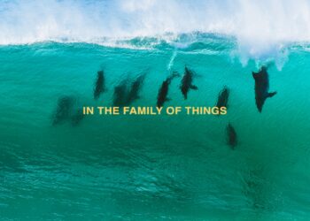 IN THE FAMILY OF THINGS