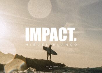 MIGUEL BLANCO | THE BLOOM