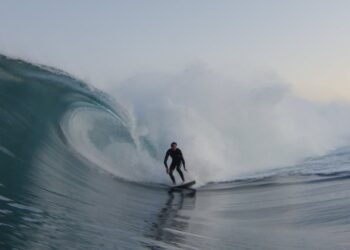 CONNOR LEE | PRESSED