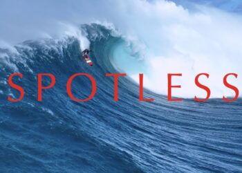 ALBEE LAYER  – SPOTLESS