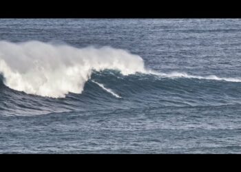 XAVI LOPEZ  | BELHARRA