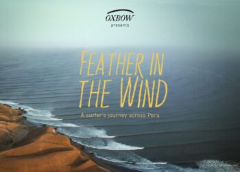 FEATHER IN THE WIND