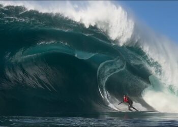 THE GARDEN, A SUMMERTIME SHIPSTERN SESSION