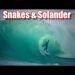 SNAKES & SOLANDER
