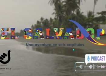 A CONTRA PICO CAP 11