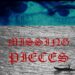 MISSING PIECES | BRONSON MEYDI
