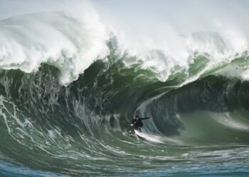 THE SHOCK | NATHAN FLORENCE