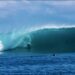 MENTAWAI SEASON 2024