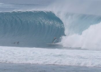 DUKE MCGRODER LIVES IN THE TUBE