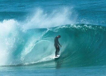 SEAN GUNNING | ROTOPALAS