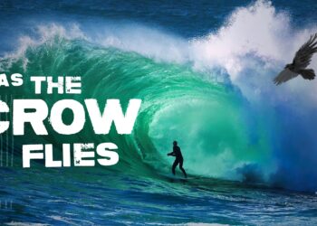 Tim Bonithon | As the Crow Flies