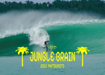 RIKU MATSOMOTO | JUNGLE BRAIN