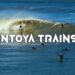 MONTOYA TRAINSSS