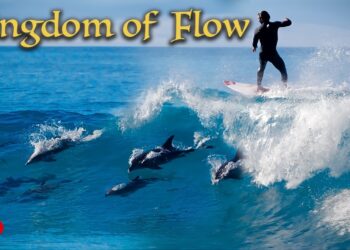 KINGDOM OF FLOW – COLABROS