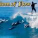 KINGDOM OF FLOW – COLABROS