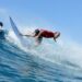 OWEN WRIGHT | FOUR SEASONS MALDIVES SURFING CHAMPIONS TROPHY