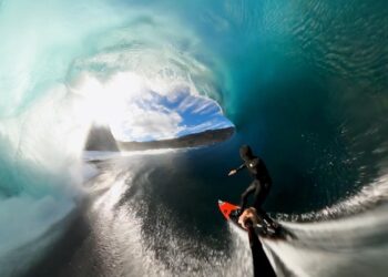 RETURN TO SHIPPIES – TASMANIA