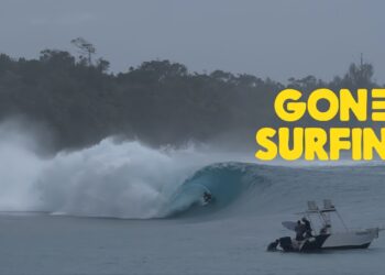 GABRIEL VILLARÁN / GREEN BUSH