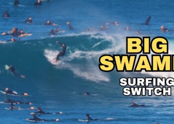 BIG SWAMIS