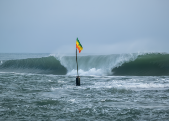 SALSA BRAVA SWELLS | Yilber Cortes