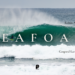 SEAFOAM | Gaspard Larsonneur