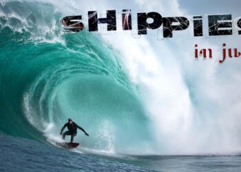 SHIPPIES | Tim Bonython