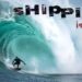 SHIPPIES | Tim Bonython