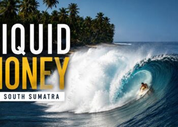 LIQUID HONEY | Sky Monkey