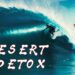 DESERT DETOX | Ollie Hamilton Fox