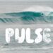 PULSE | Justin Spencer