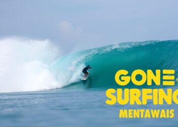 MENTAWAIS | Mentawai
