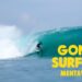 MENTAWAIS | Mentawai