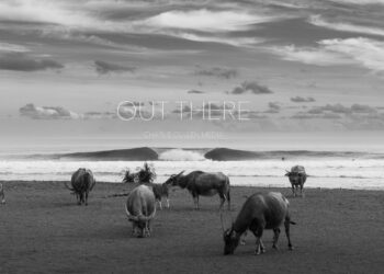 OUT THERE | Charlie Cullen