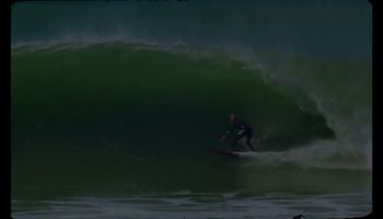 CALIFORNIA PURRFECTION