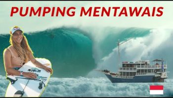 CAROLINE MARKS - MENTAWAI