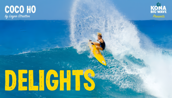 DELIGHT_result