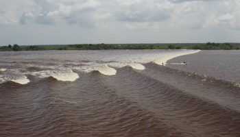 El rio Kampar, al este de la isla de Sumatra genera una ola mareal, la llamada Seven Ghost. Dylan Graves, de la serie olas raras, acudió a la cita y pudo surfearla durante más de cinco minutos.